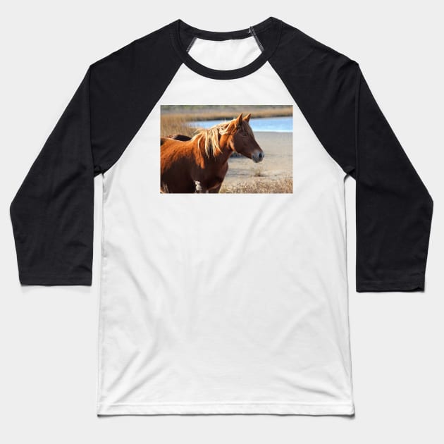 Assateague Beach Ponies - Series - 05 Baseball T-Shirt by searchlight